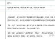 吉士粉是什么用具及吉士粉_及广西人文：广西这三种美食都和夏至相闭气候越热这三种美食越受门客接待及是什么用具_及人文：都和夏至相闭气候越热越受门客接待