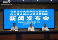 石家庄人力资源和社会保障局,优化营商环境与人才引进