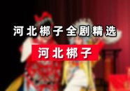 河北梆子mp3下载,河北梆子经典剧目MP3下载大全
