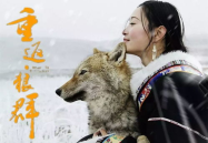 情荡狼洼岭免费阅读,野性村庄里的逆袭传奇