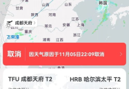 航班动态信息,多机场调整航班计划，旅客需关注最新信息”