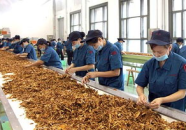 涪陵烟草公司招聘信息,诚邀精英加入，共创美好未来！