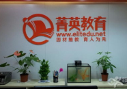 菁英教育,菁英教育的理念与实践