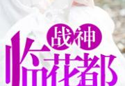 林北苏婉小说全文免费阅读,林北苏婉的权势巅峰之路